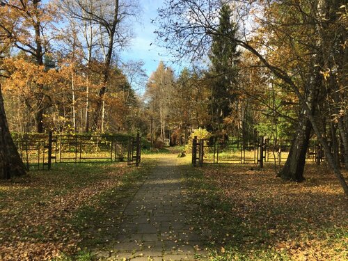 Апартаменты в лесу в Звенигороде