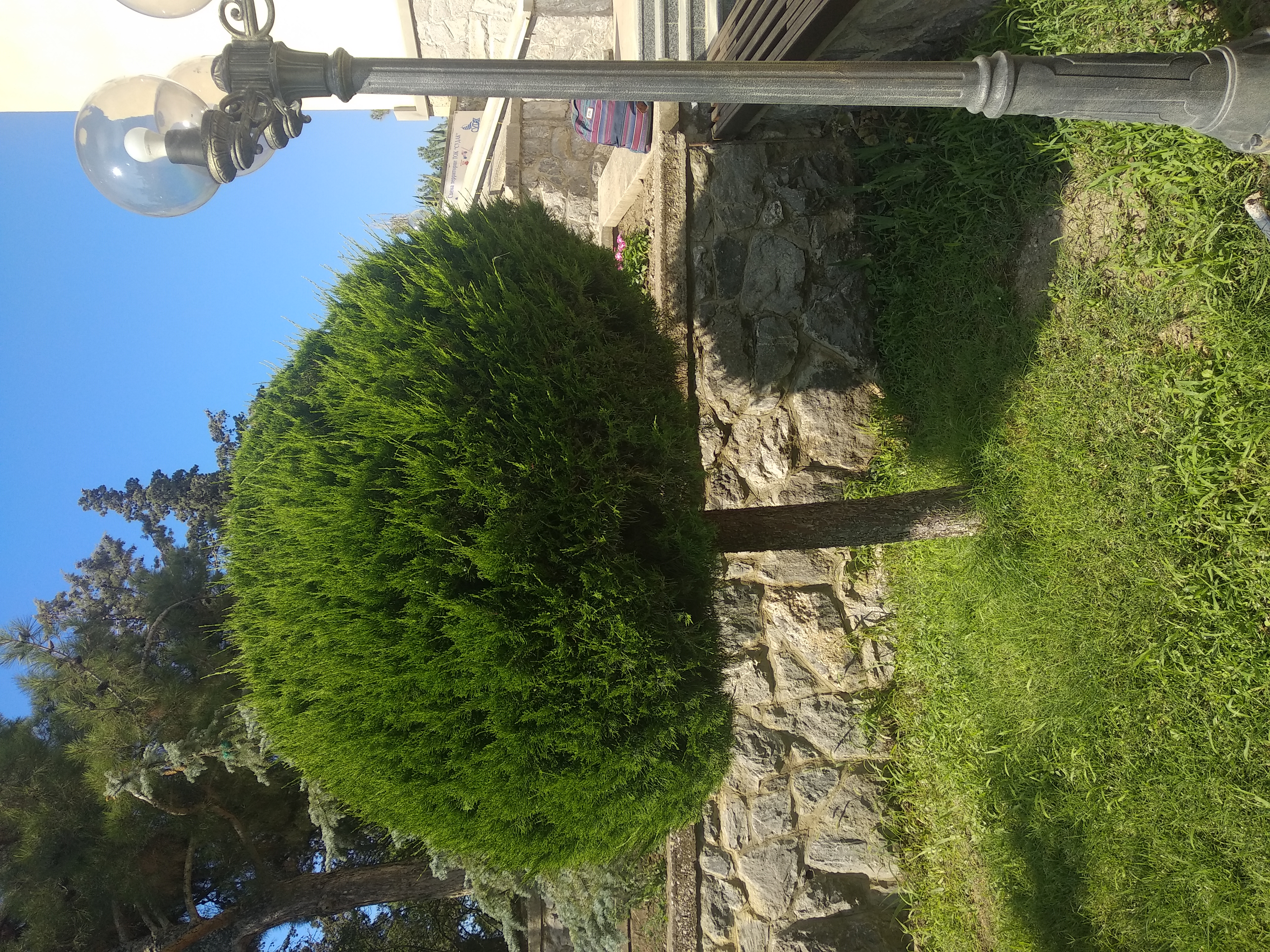 Фото ТОК Судак