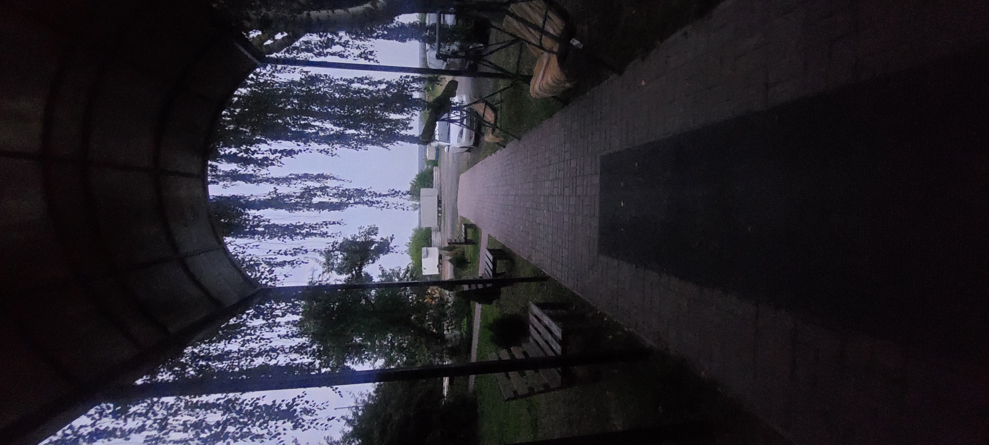 Фото Кузнечик