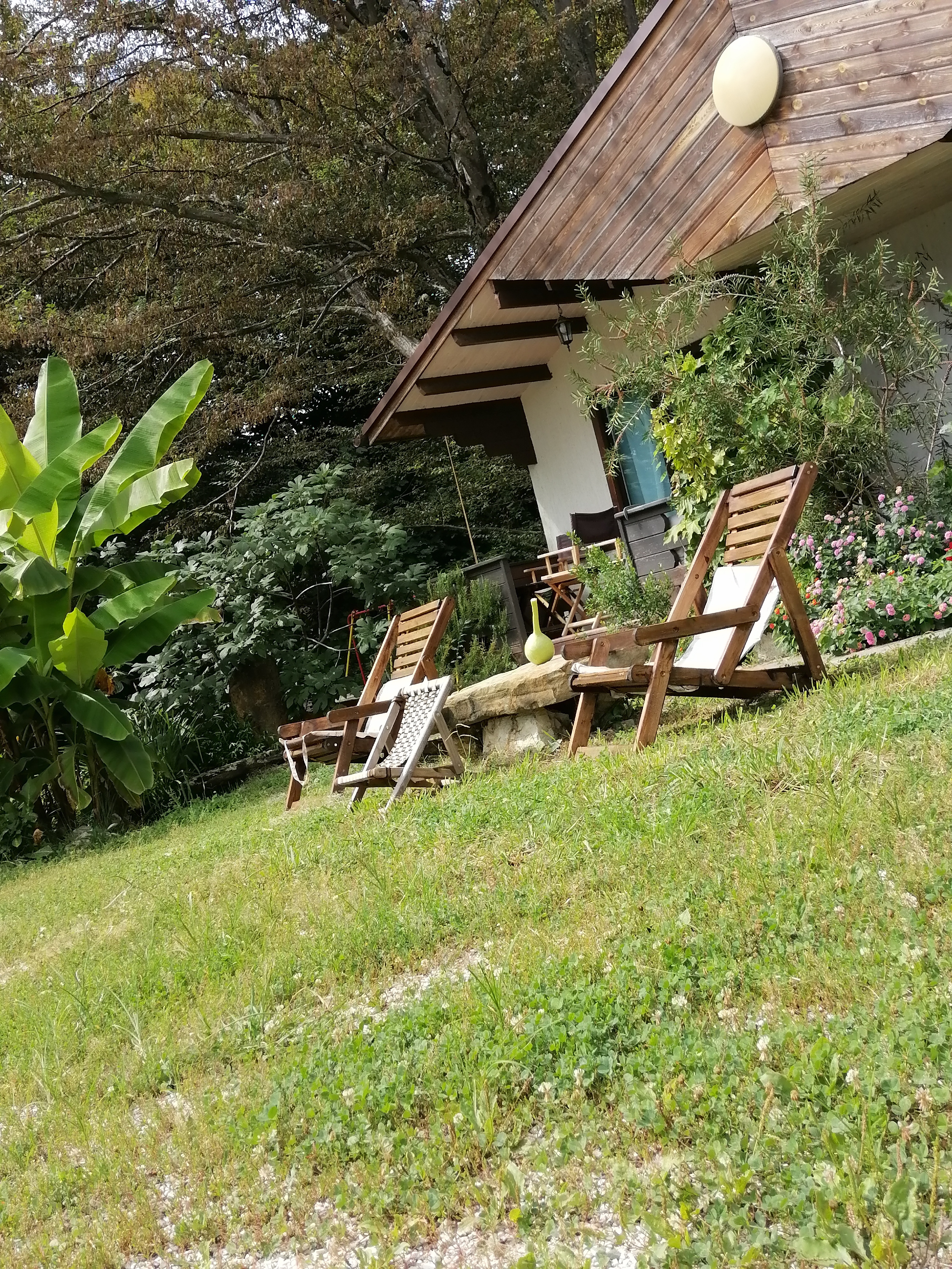 Фото Лесное царство