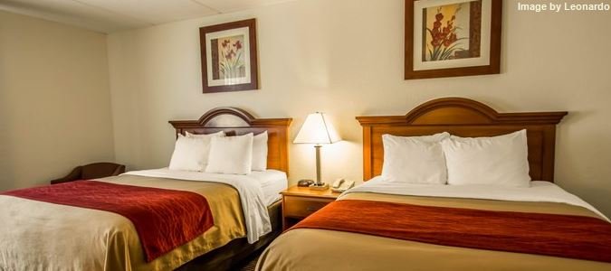 Фото Comfort Inn Kissimmee-Lake Buena Vista South