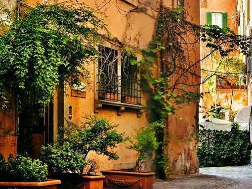 Фото Domus Tiberina