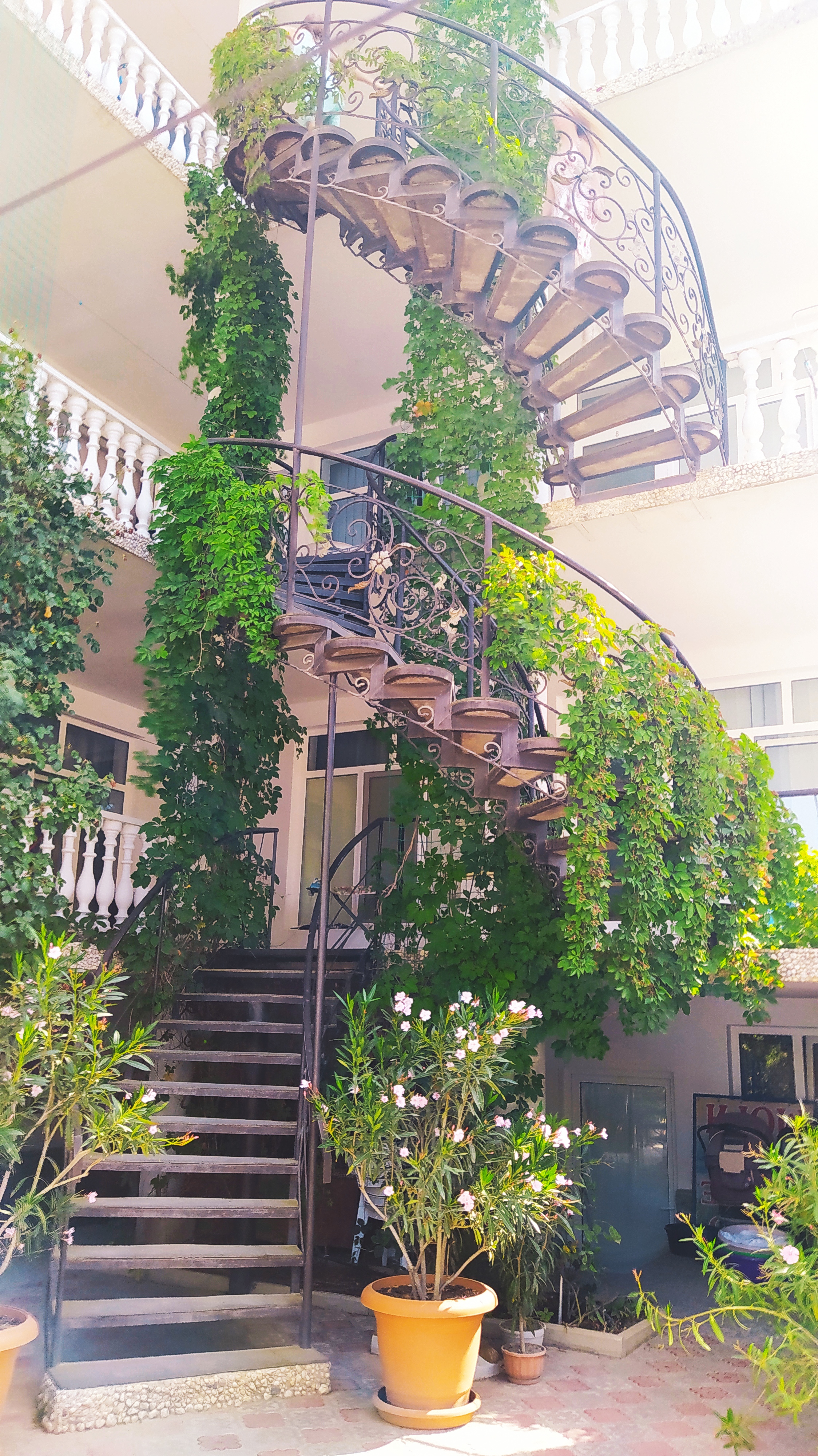 Фото Радуга