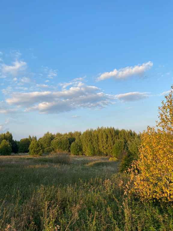 Фото Дача Липы