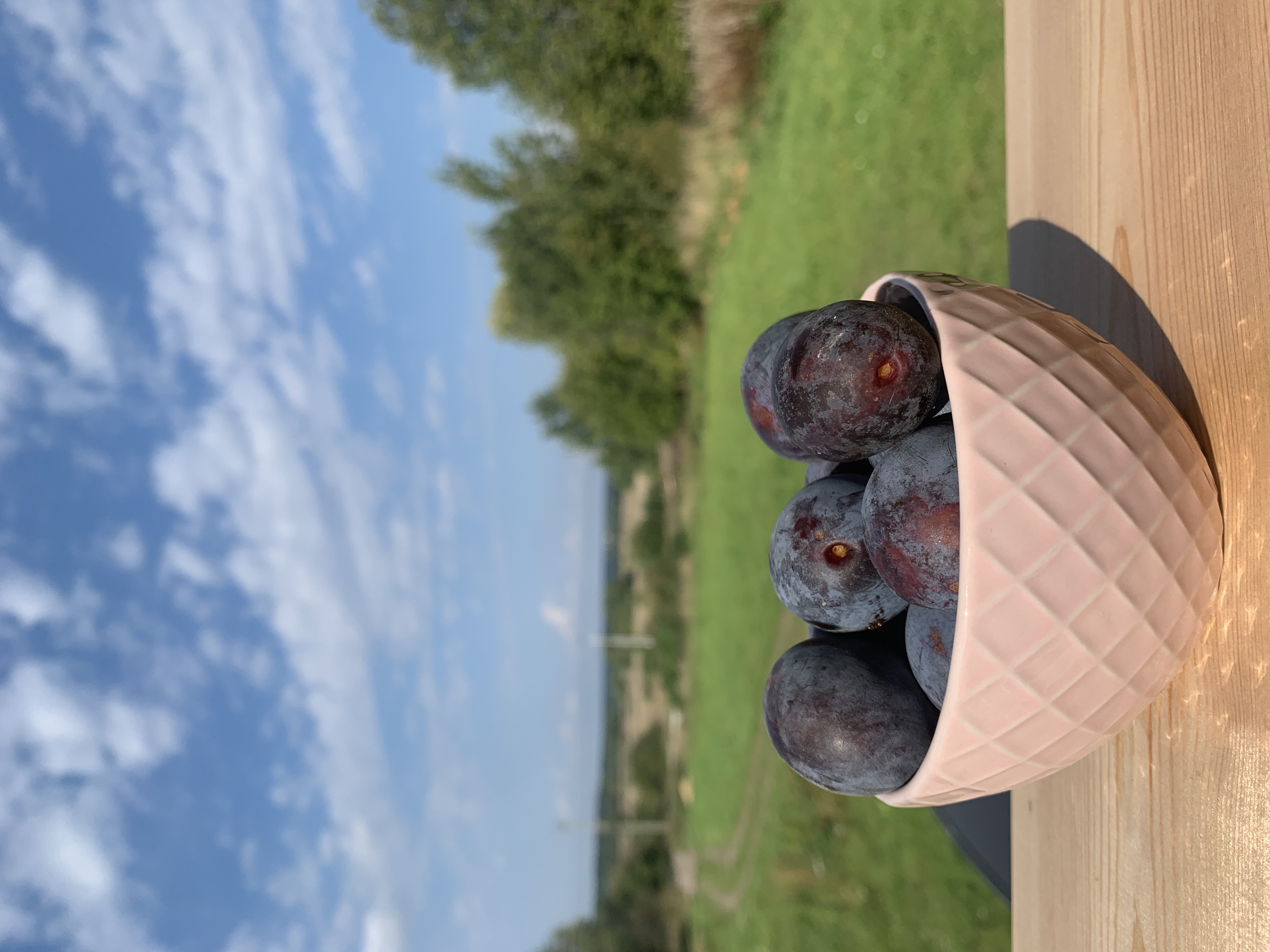 Фото Тундра Хаус Степаново