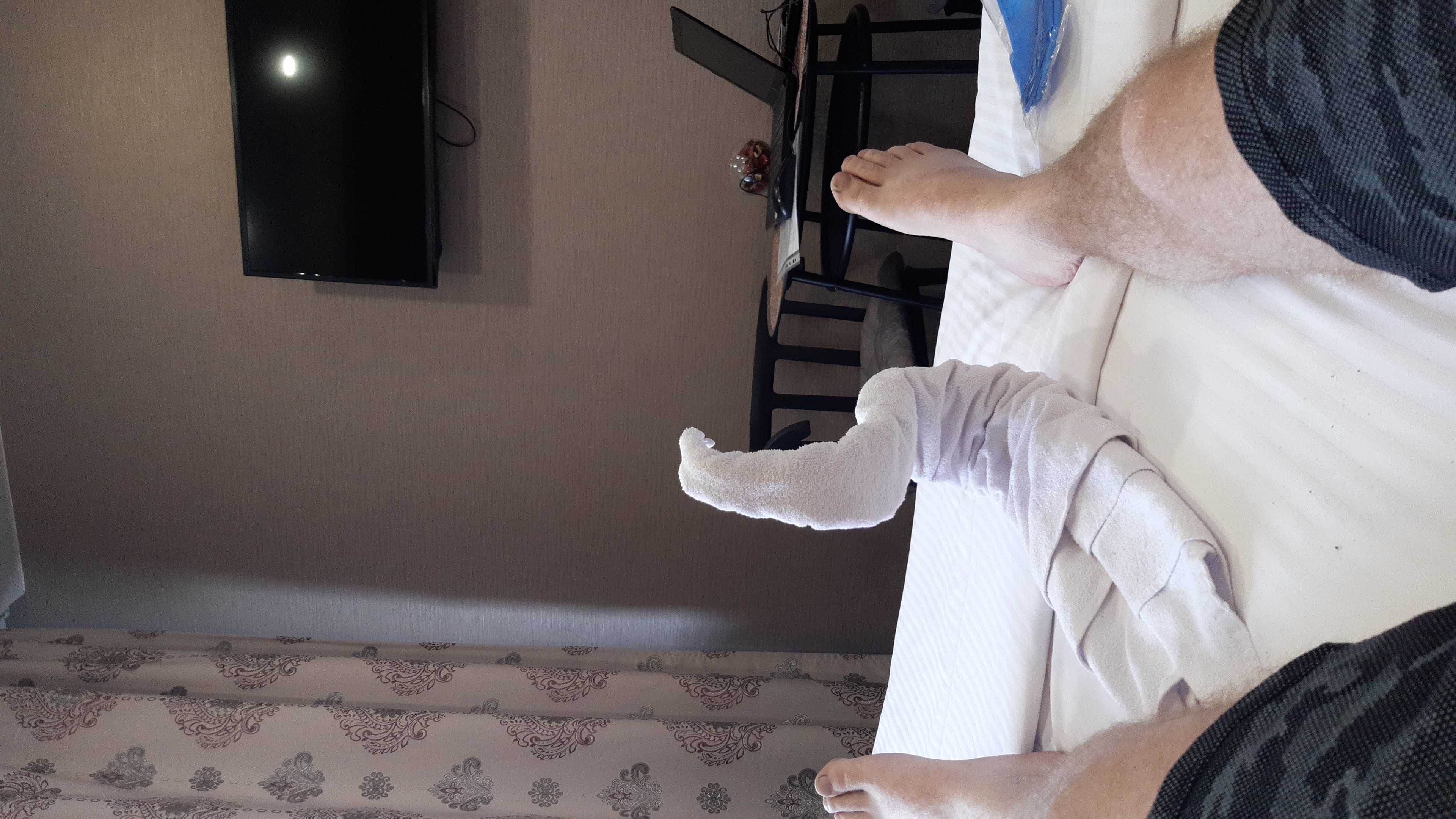 Фото Подкова