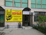 Vernyi (Pavlodarskaıa kóshesi, 68), veterinary clinic