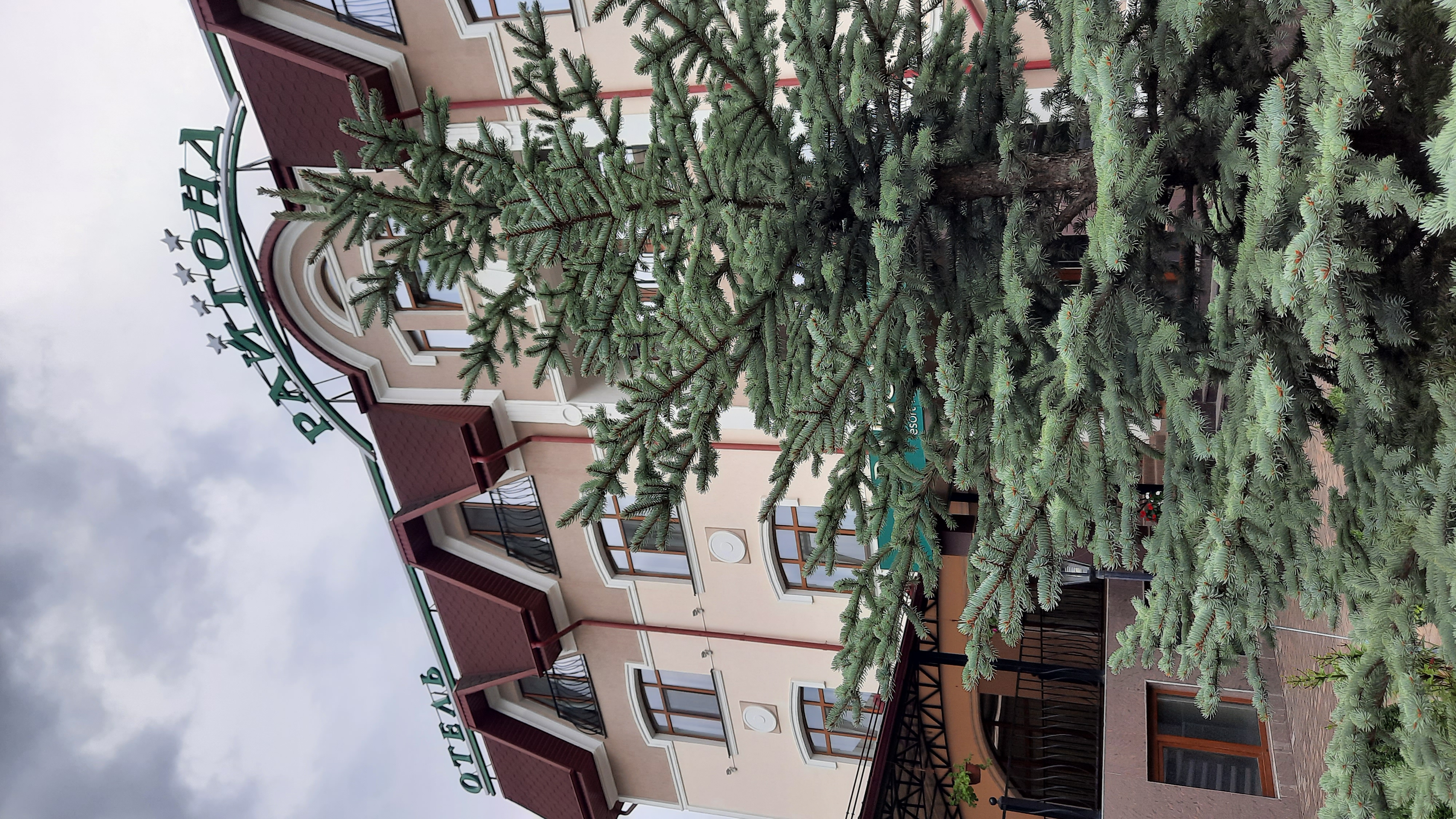 Фото Райгонд