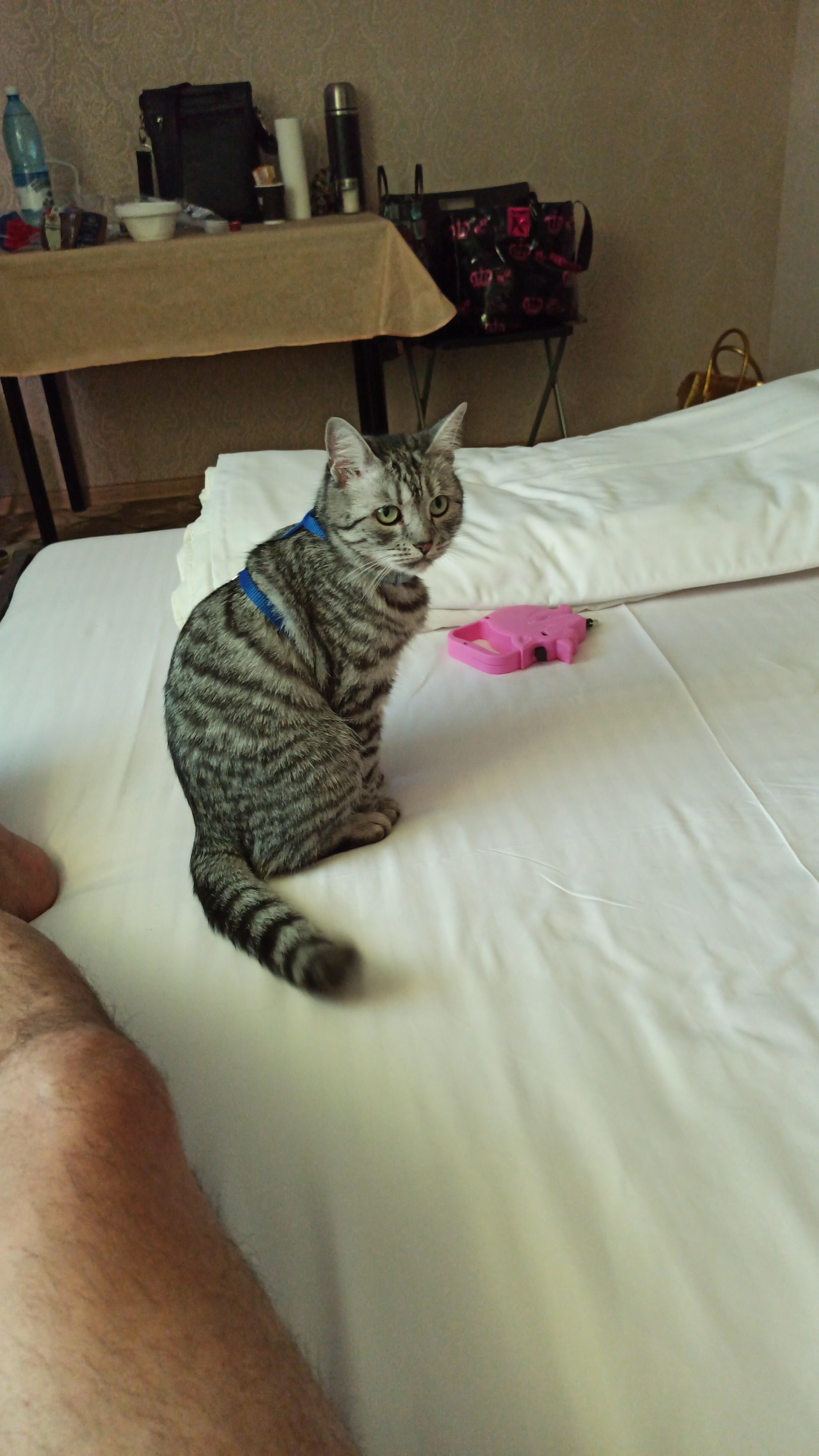 Фото Тихий Дон