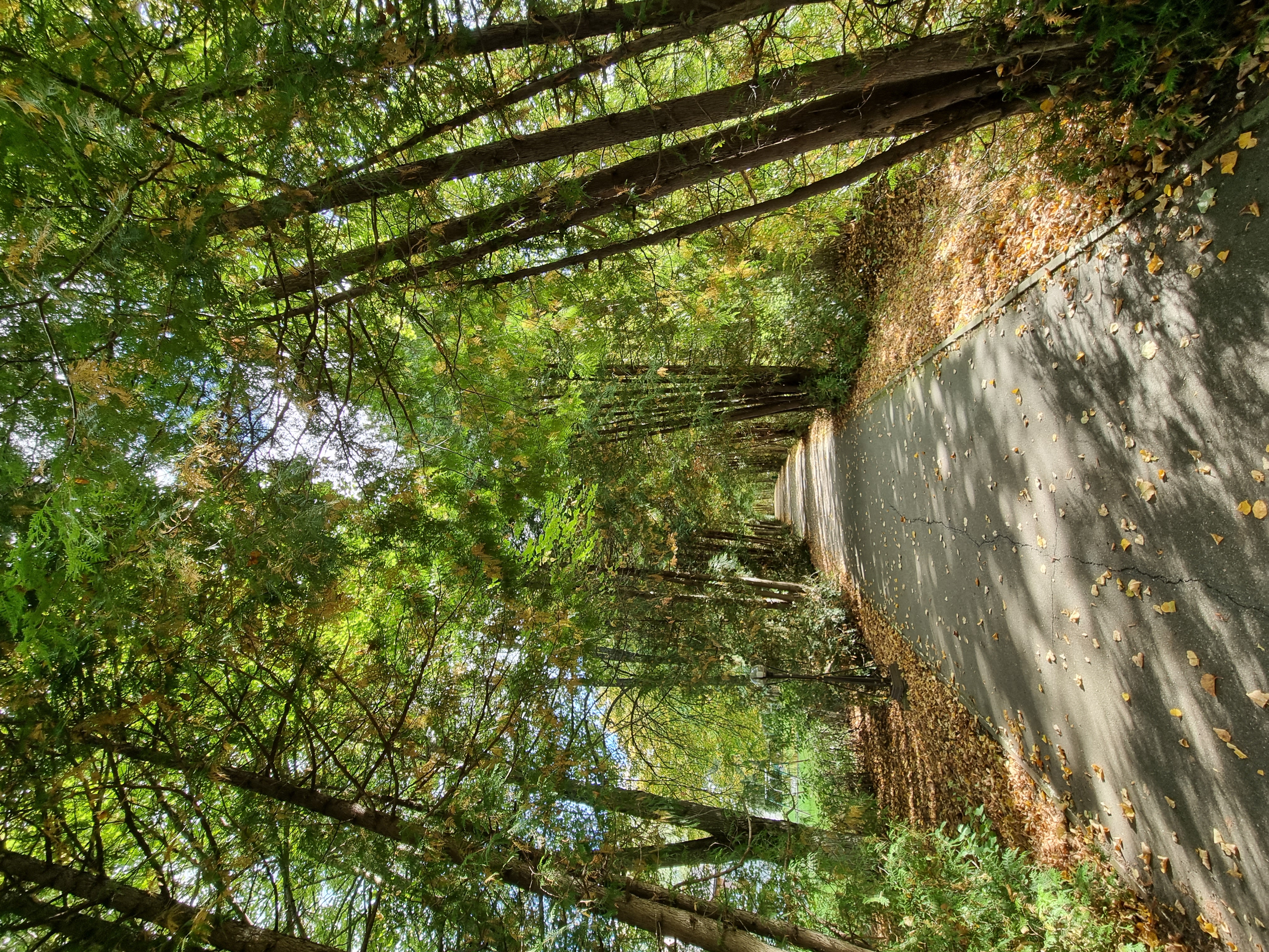 Фото Центр социальной геронтологии Чайковский