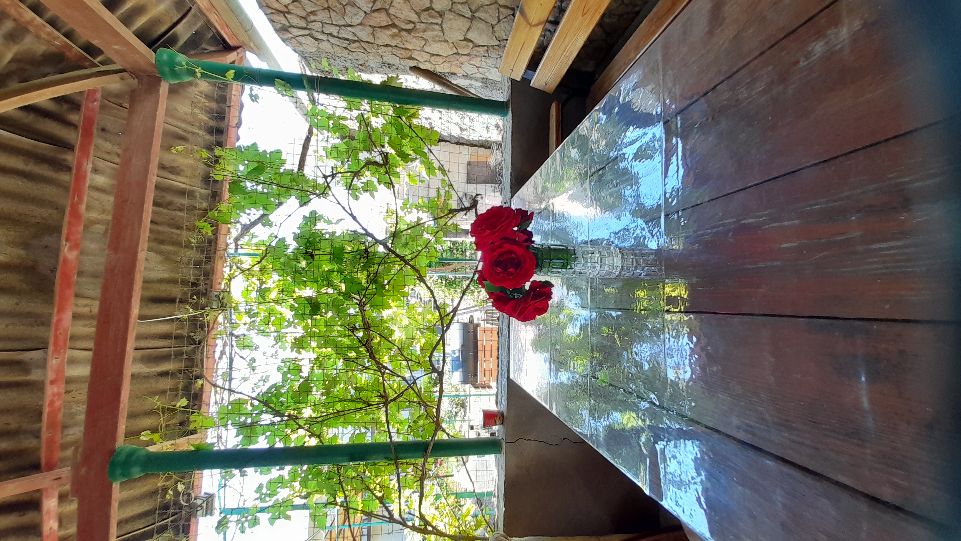 Фото Тетушка Сова