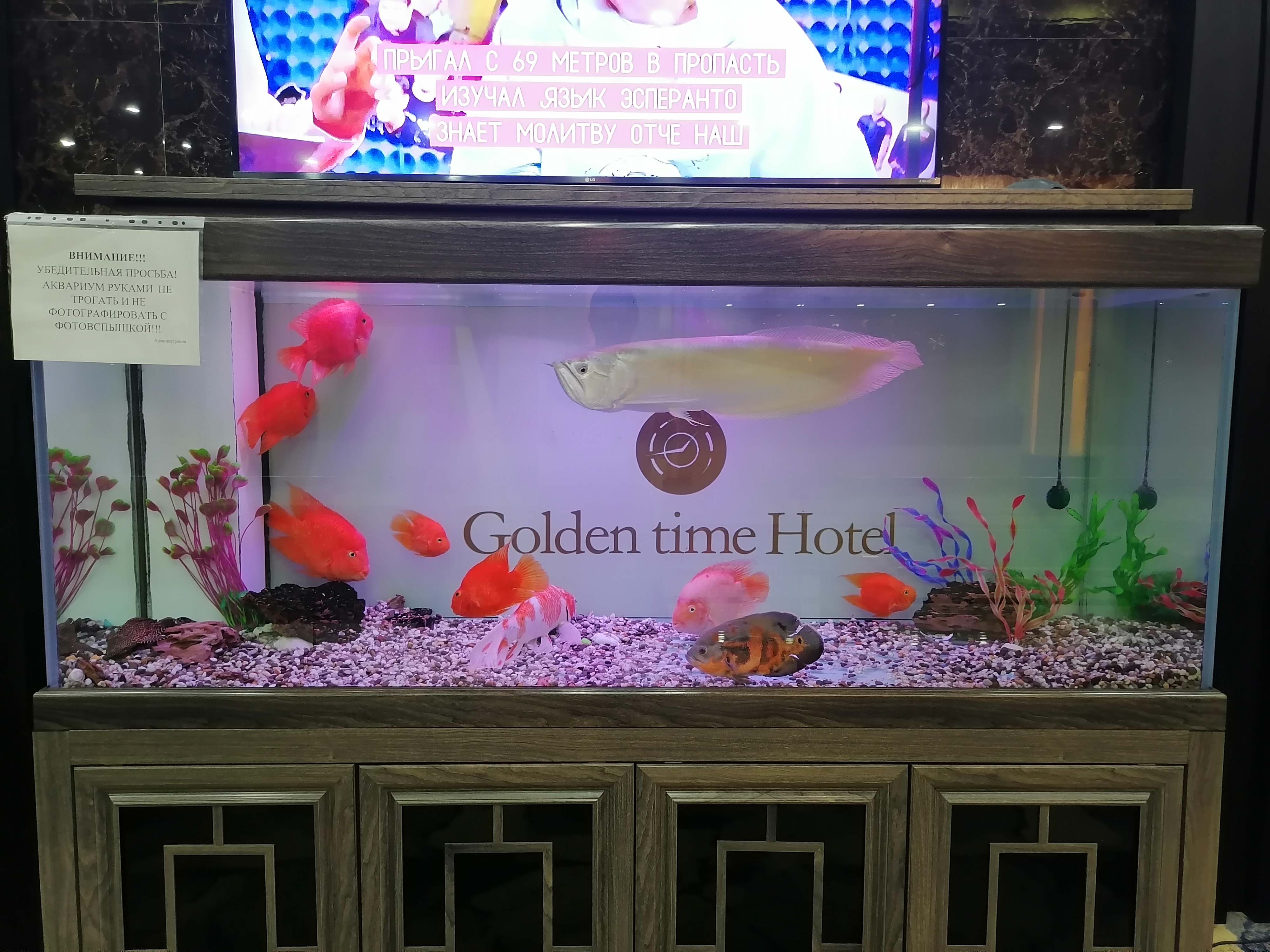 Фото Золотое время