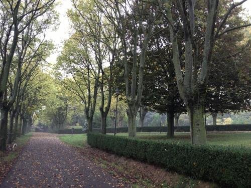 Фото Casa Cuniolo Guest House