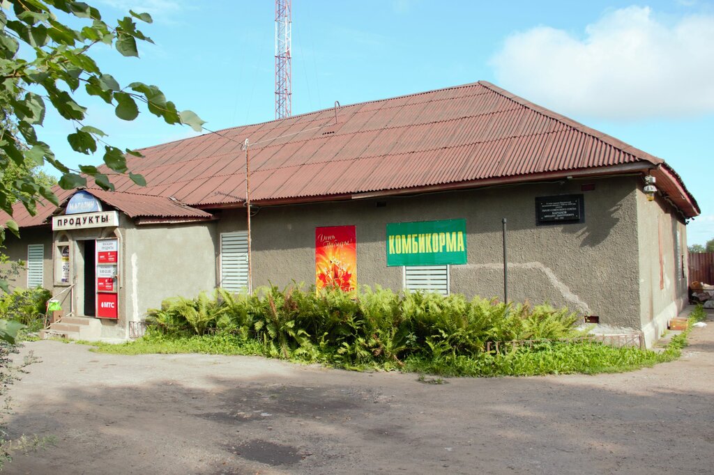 Memorial plaque, foundation stone Герою Советского Союза М.Д. Баранову, Saint‑Petersburg and Leningrad Oblast, photo