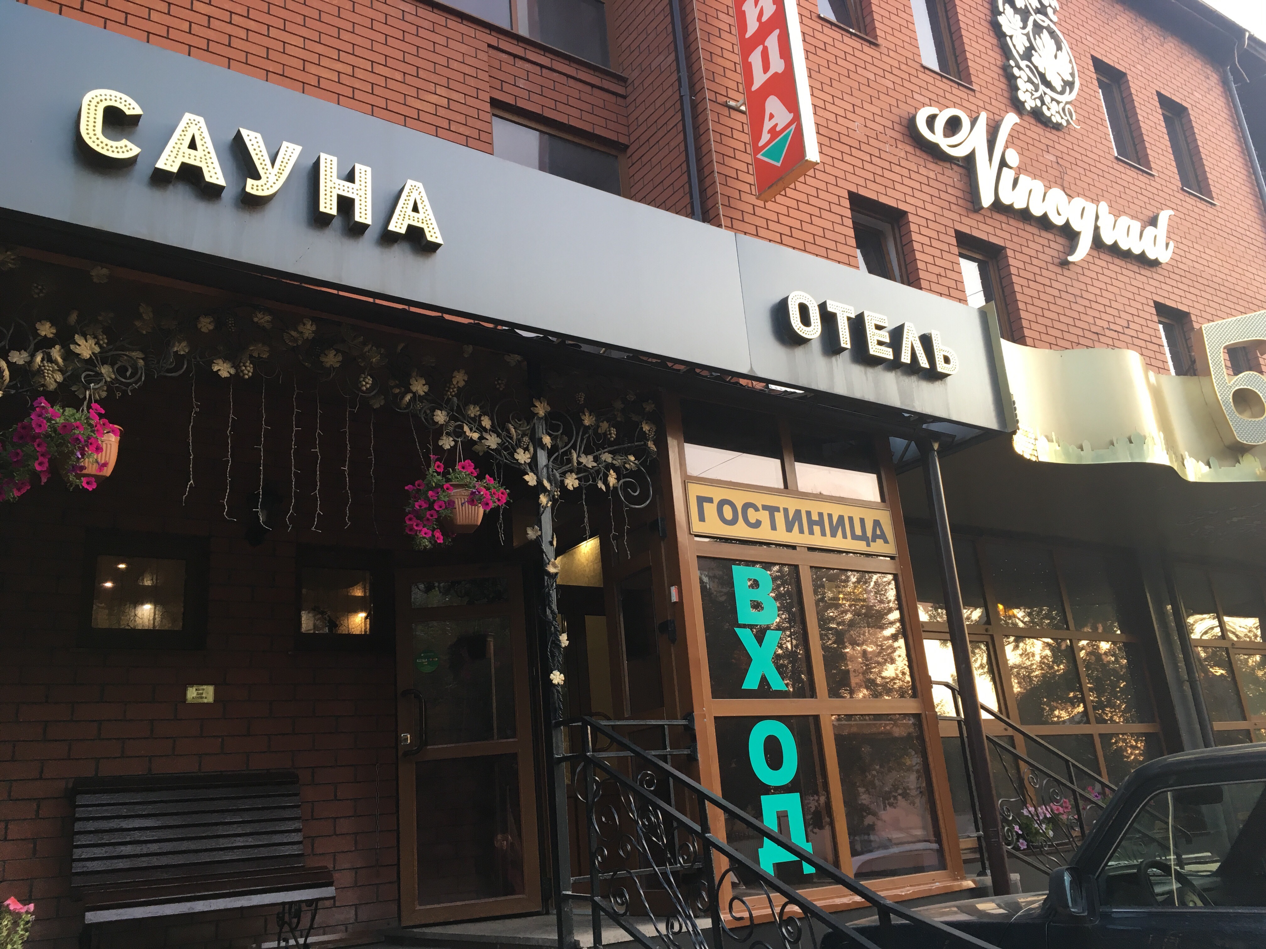 Фото Виноград