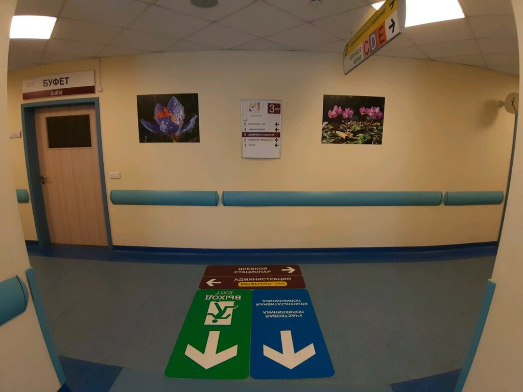 Hospital Стационар дневного пребывания, Sochi, photo