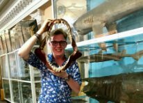 Müzeler ve sanat galerileri Музей морской фауны Югниро - Экспозиция флоры и фауны Мирового океана и Крыма, Kerç, foto