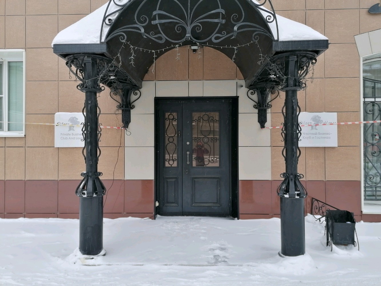 Фото Серебряная лошадь