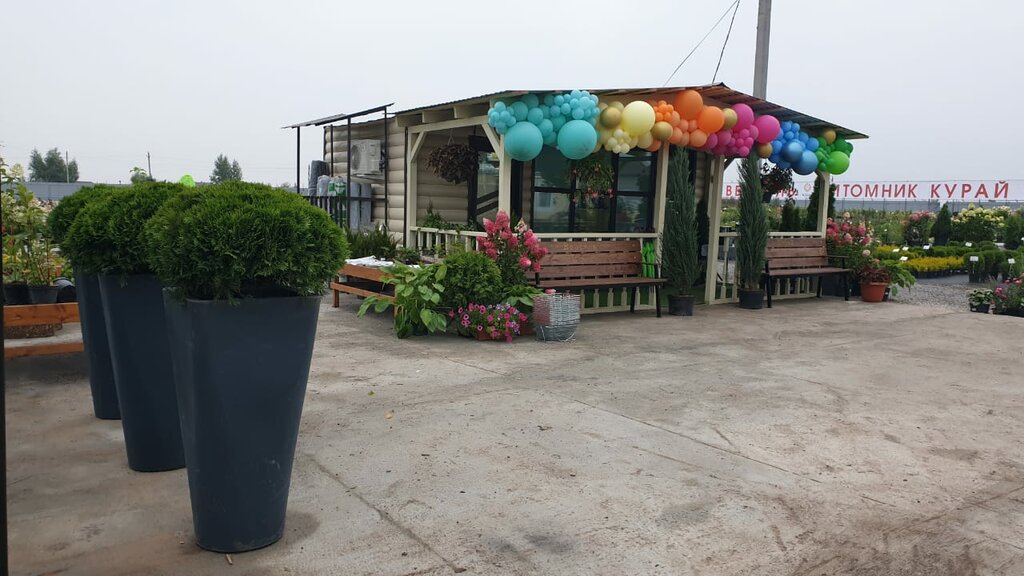 Vivero de plantas Питомник декоративных и плодовых культур Курай, , foto