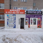 Фонтан цветов (ул. Фаузи Зайлалова, 14), магазин цветов в Дюртюлях