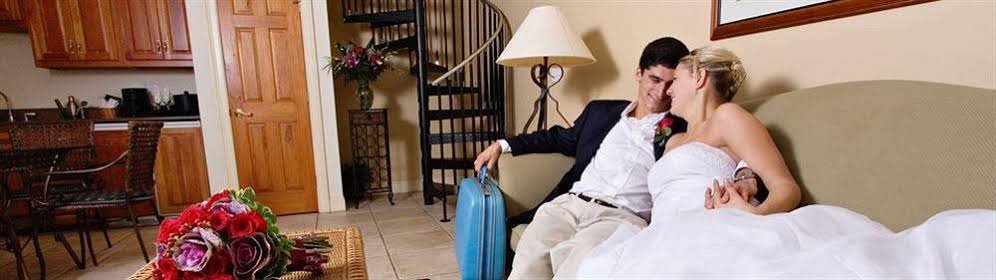 Фото St George Inn