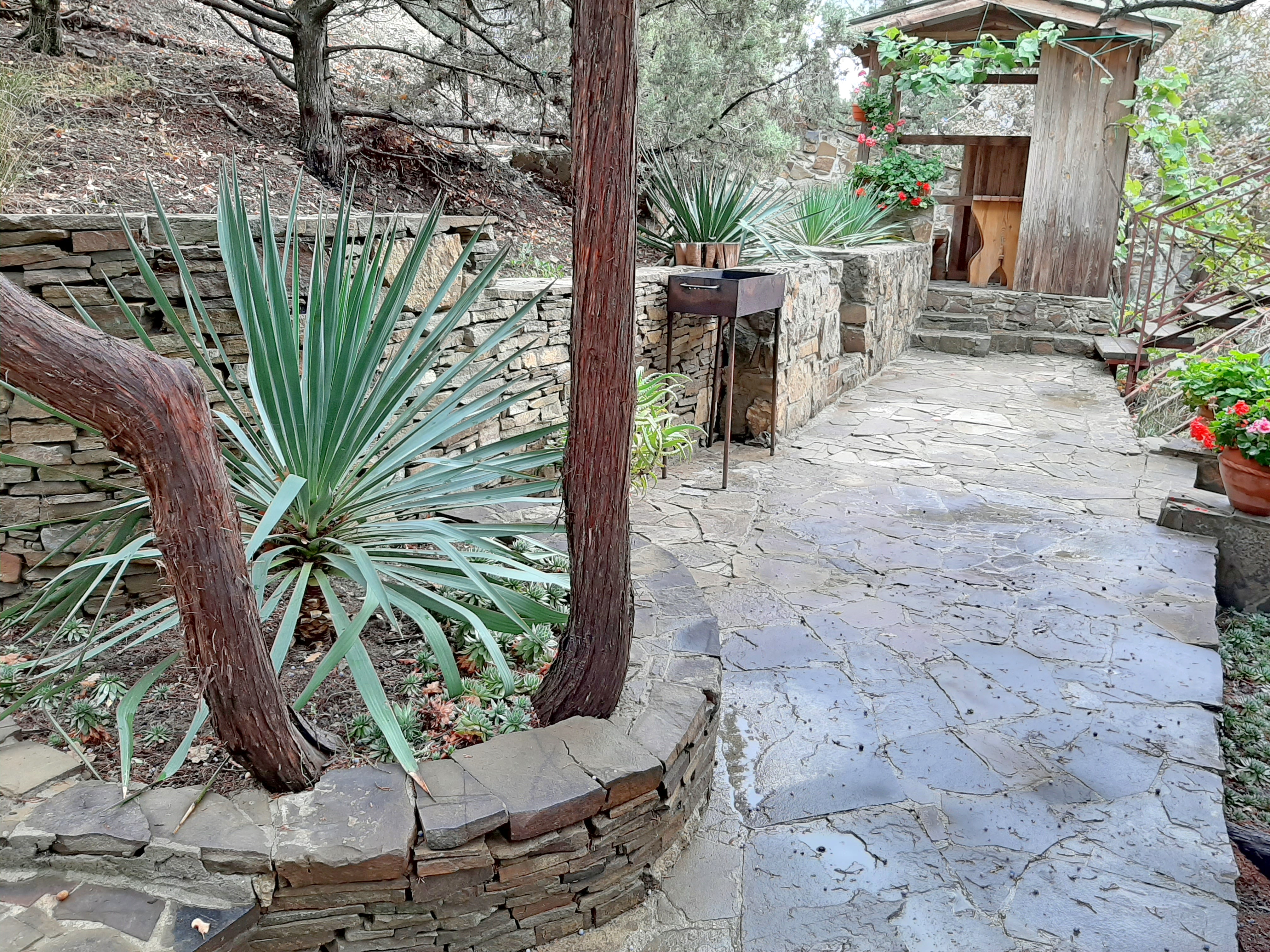 Фото Шаляпин Хаус