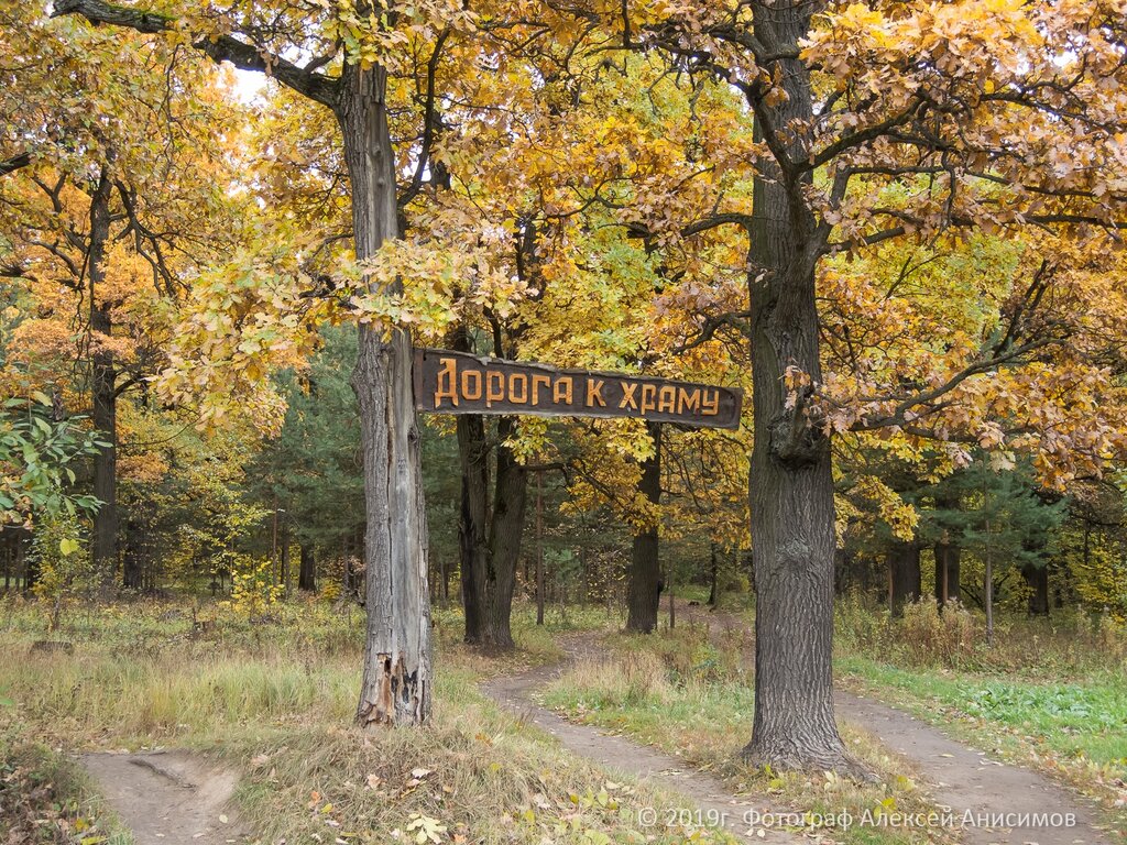 Nature Дубовая роща, Moscow and Moscow Oblast, photo