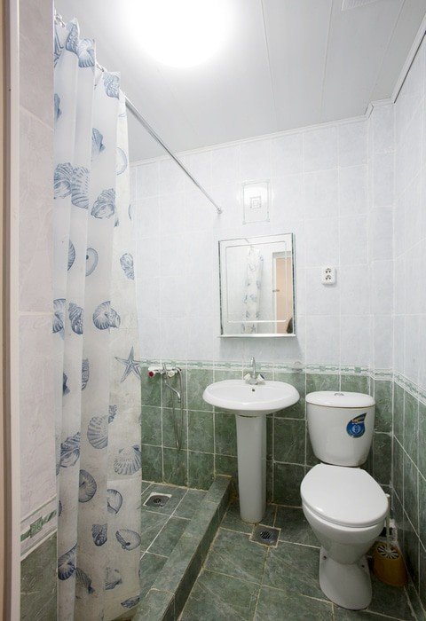 Фото Эвкалиптовая роща