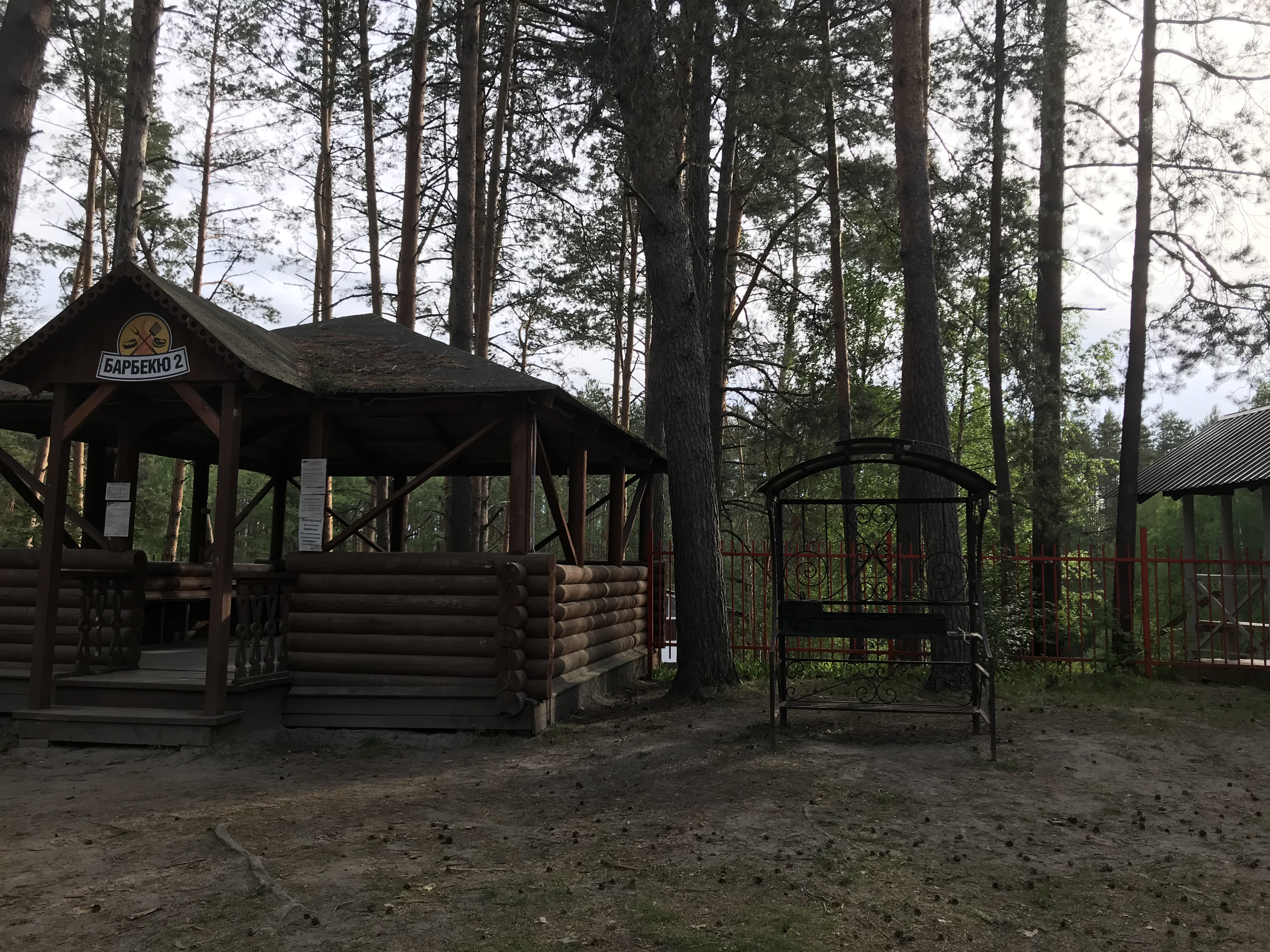 Фото Спутник