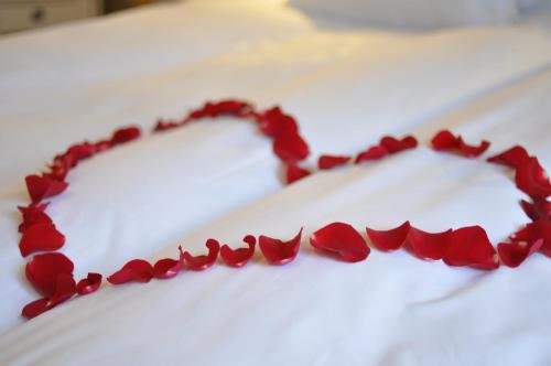 Фото Annas Hotell