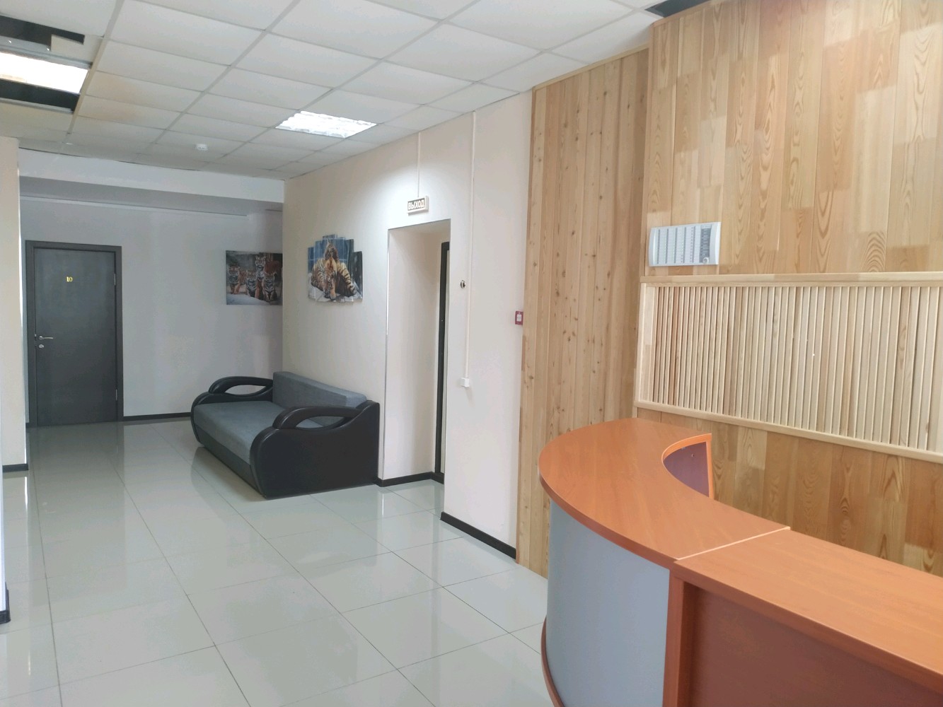 Фото Golden Tiger