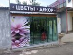 Цветы Лотос (Kursk, Zapolnaya ulitsa, 1А), flower shop