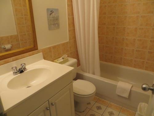 Фото Hotel Manoir de la Tour