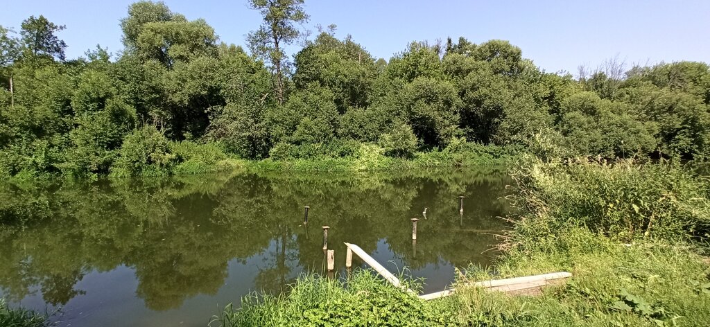 Barbecue area Купальня д. Бекетово Под каретой, Moscow and Moscow Oblast, photo
