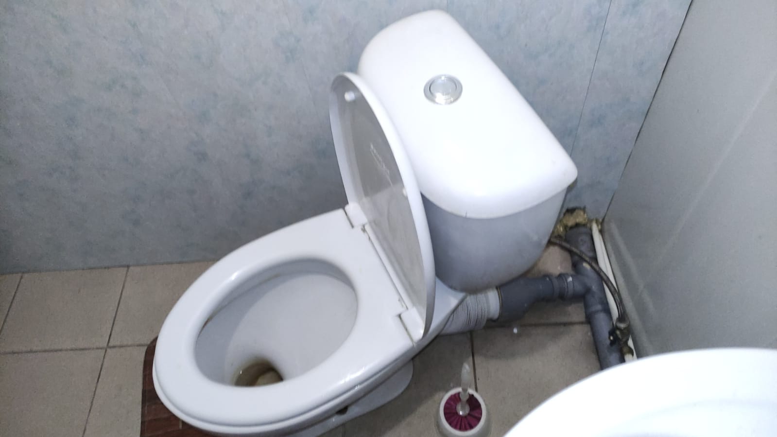 Фото Золотая подкова