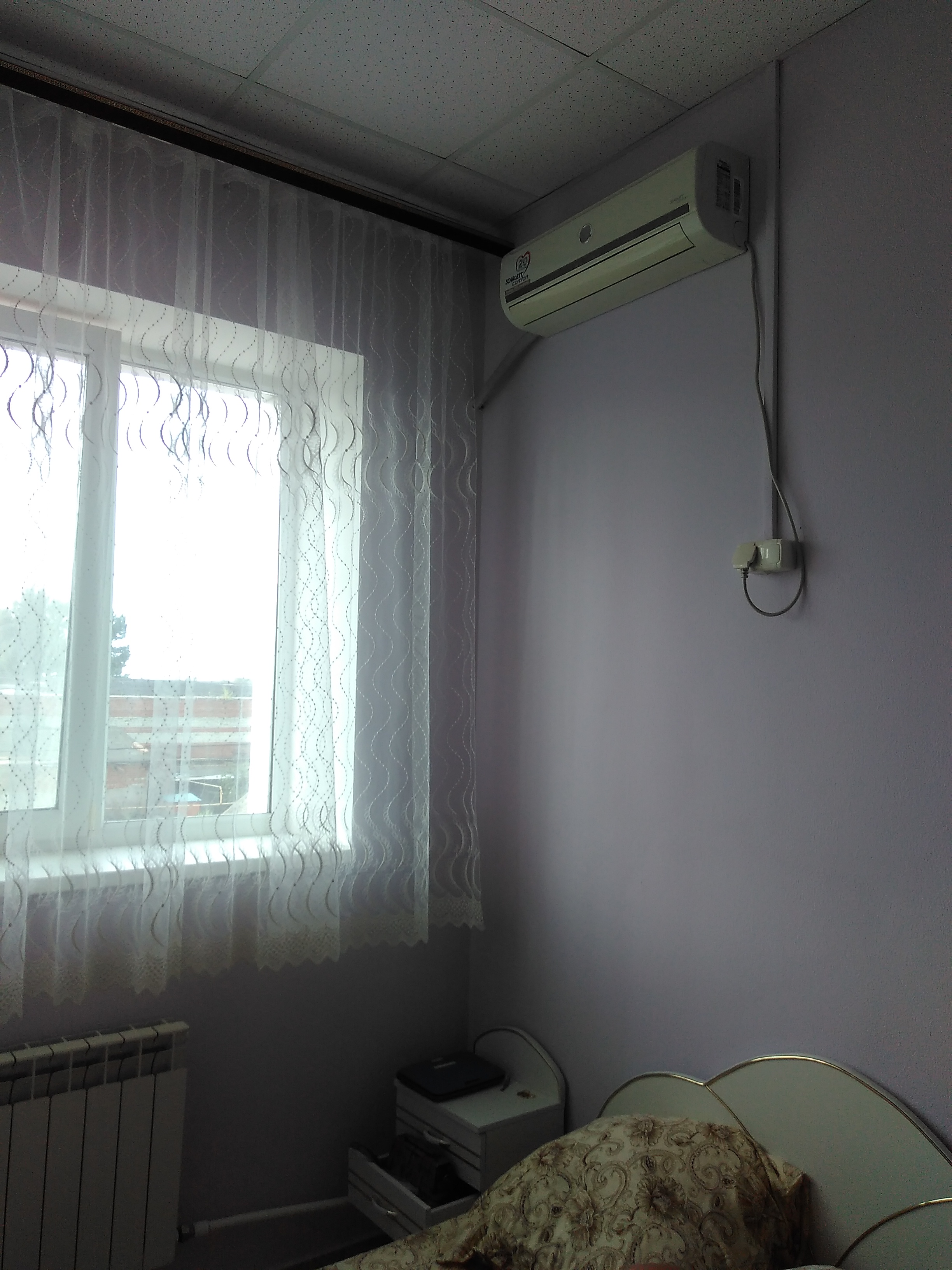 Фото Фаворит