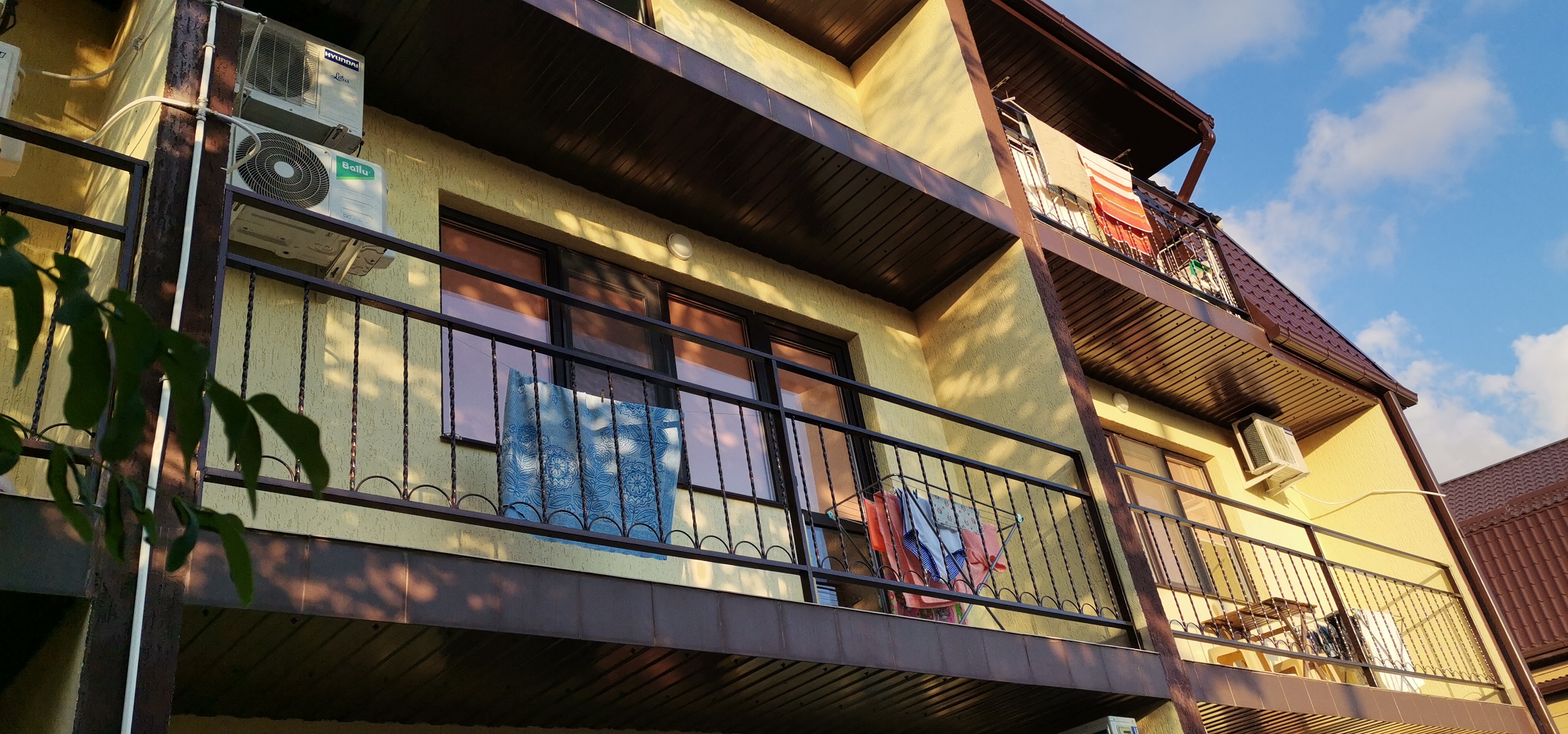 Фото Колибри