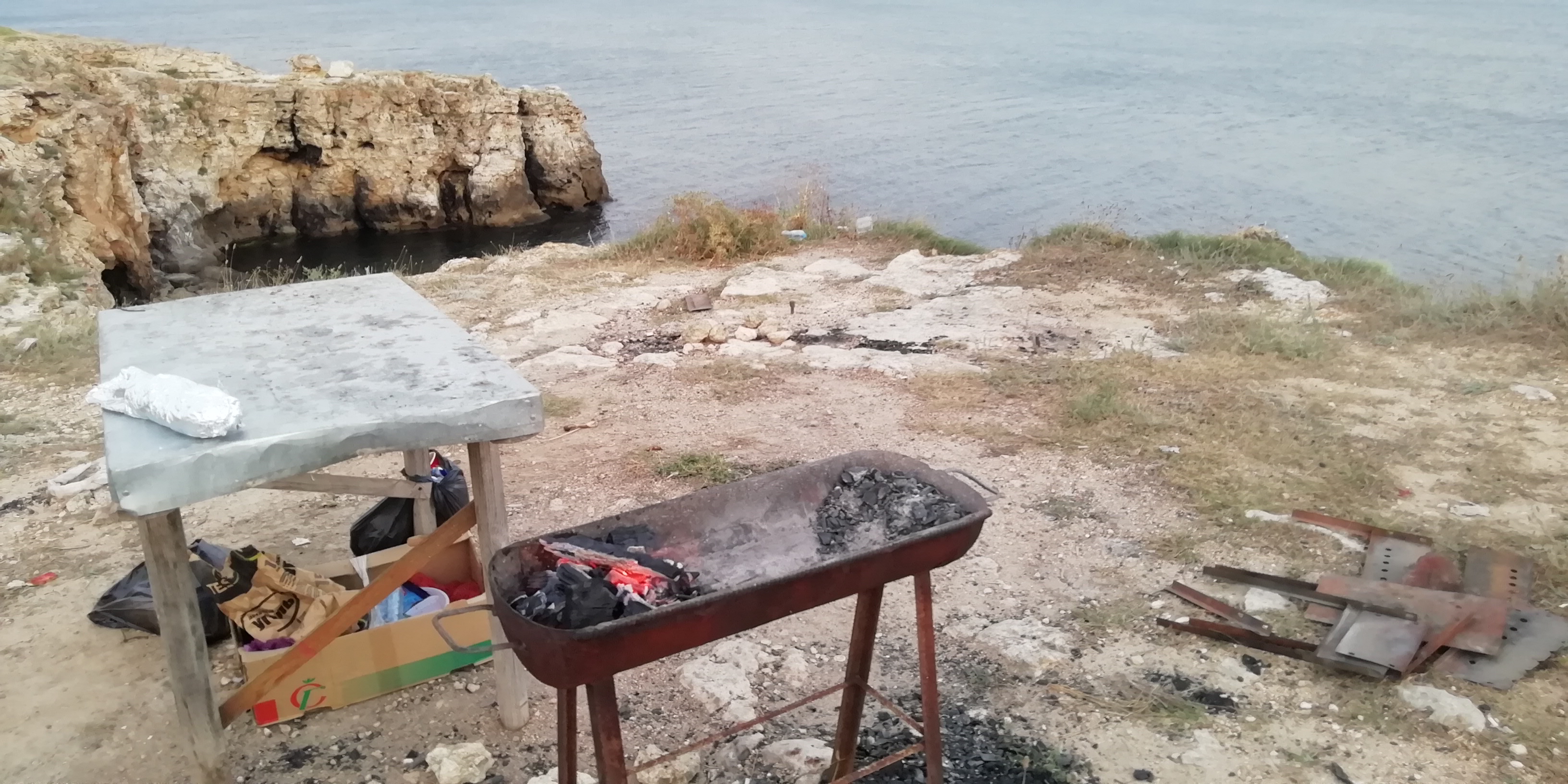 Фото Афалина