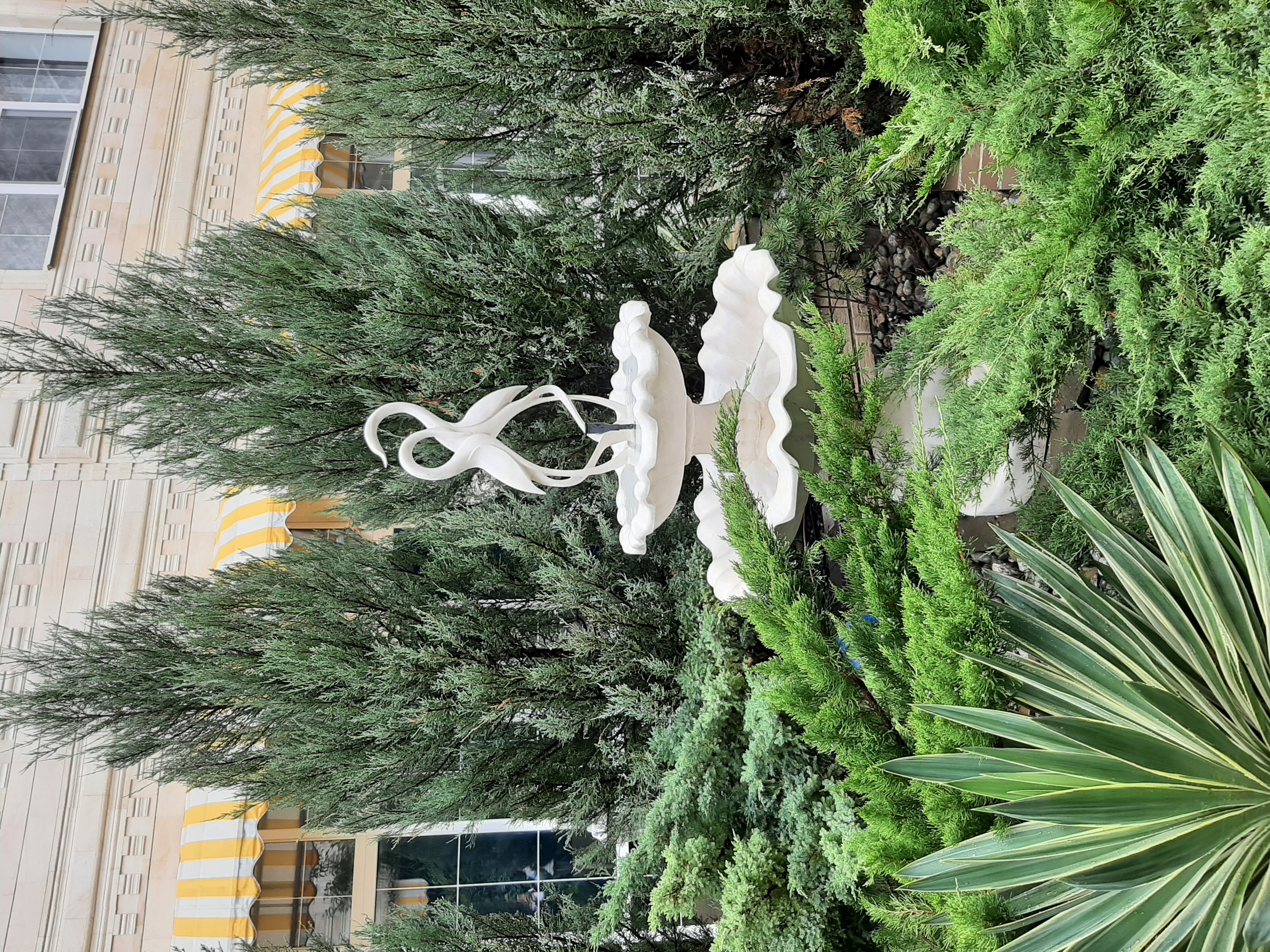 Фото Журавли