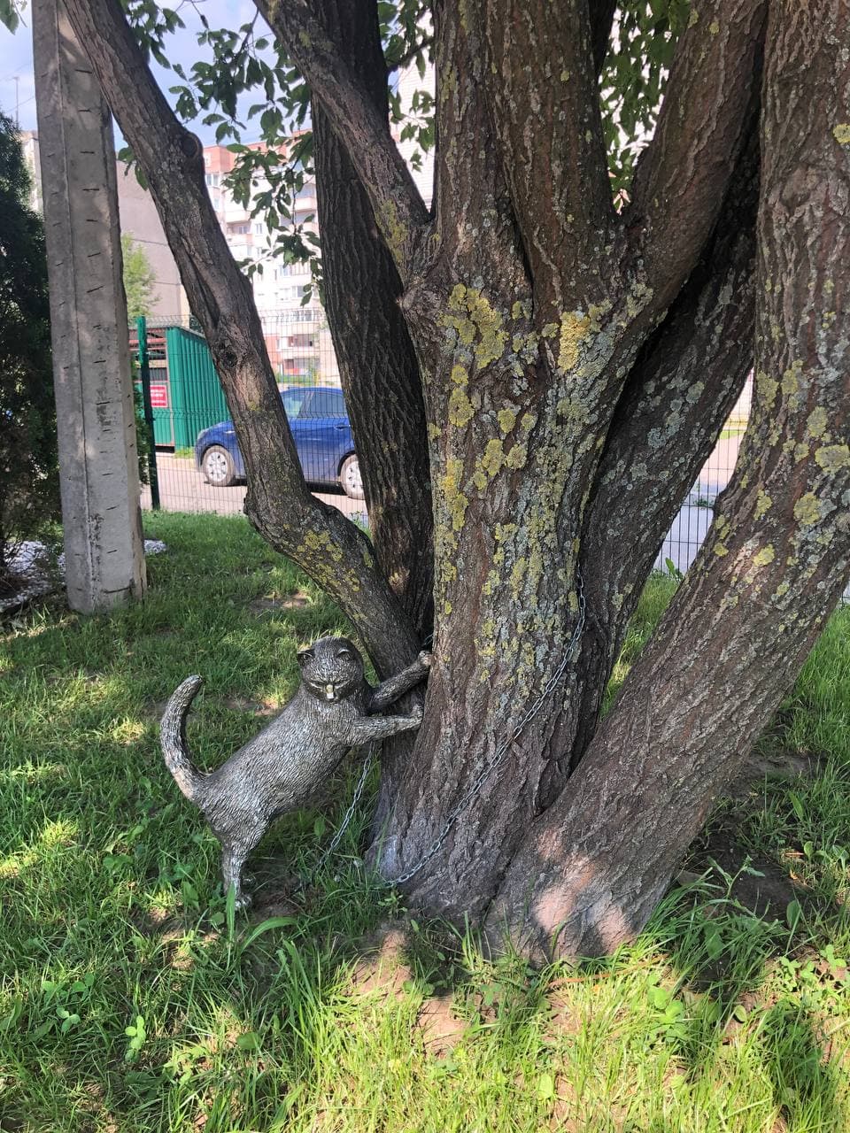 Фото Галерея