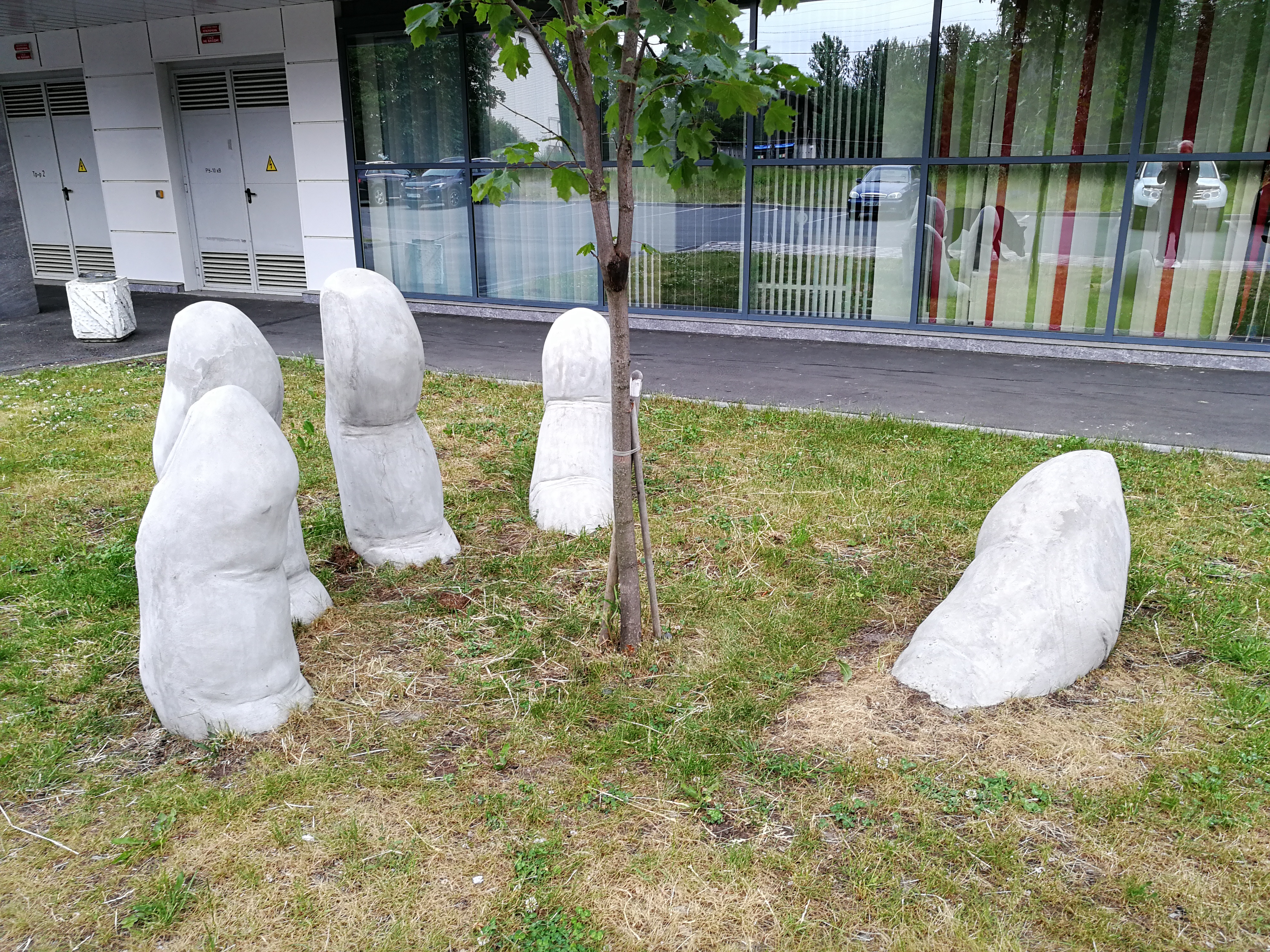 Фото Центральный