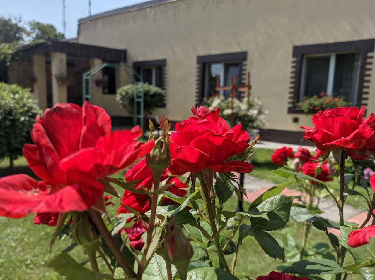 Фото Тихая гавань