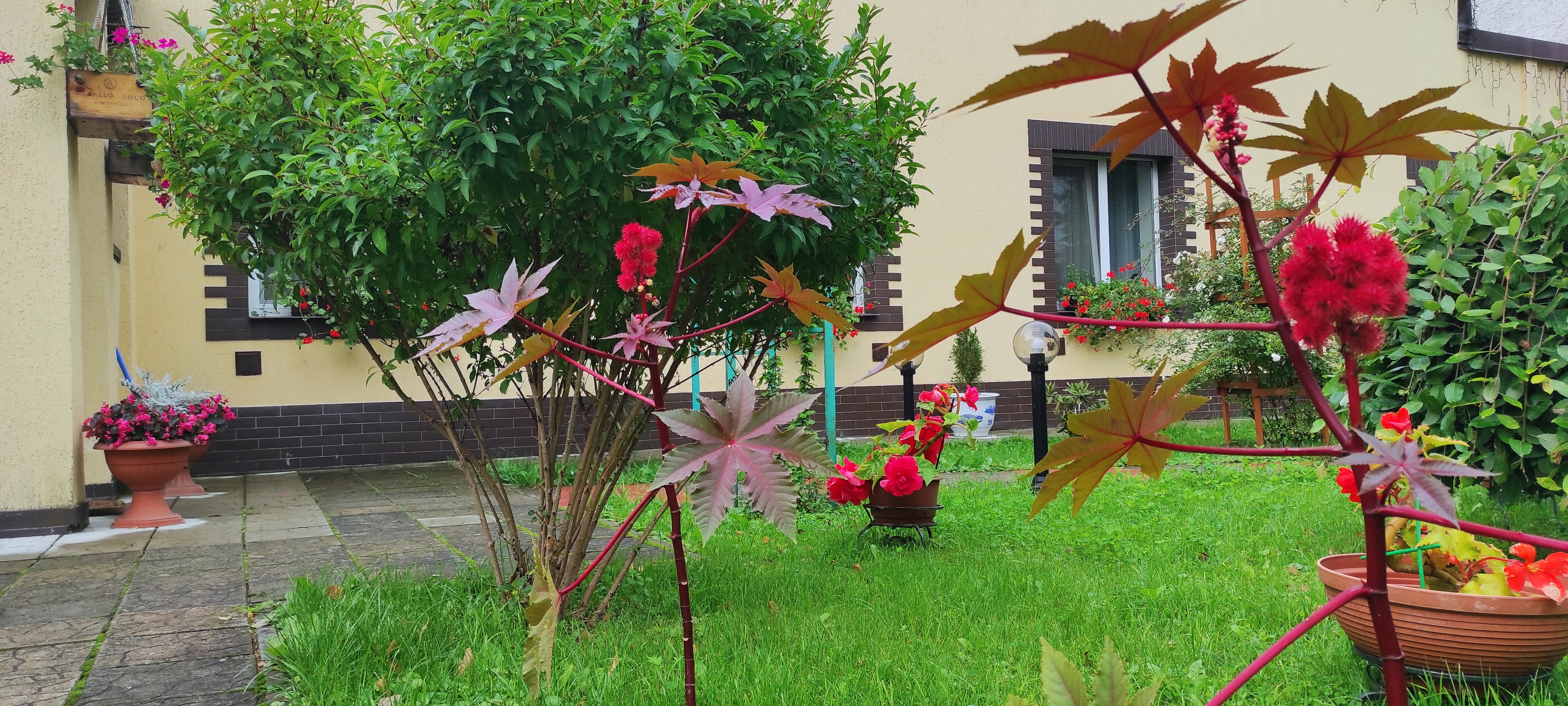 Фото Тихая гавань