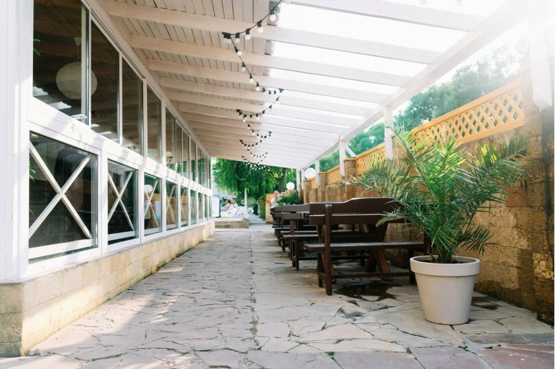 Фото Дублин Дельфин