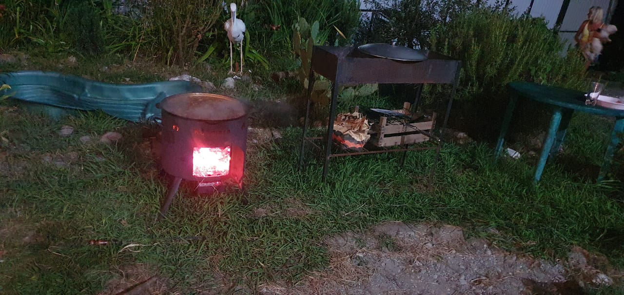 Фото Резеда