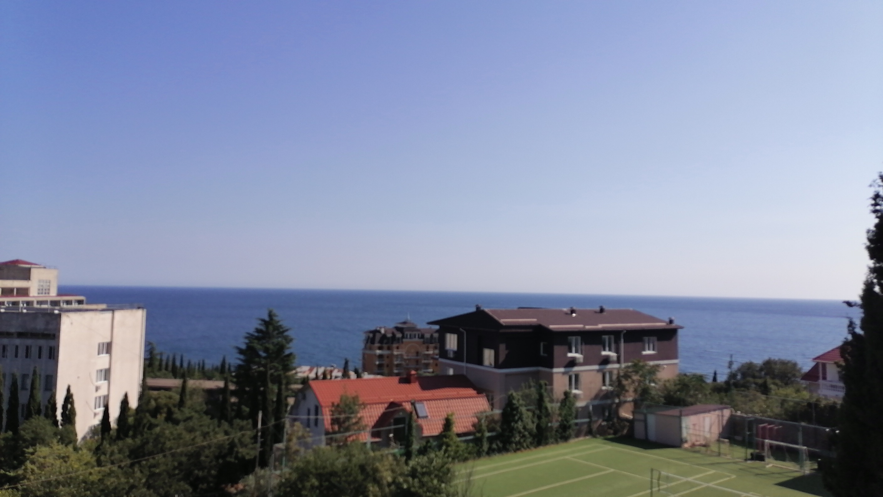 Фото Магнолия