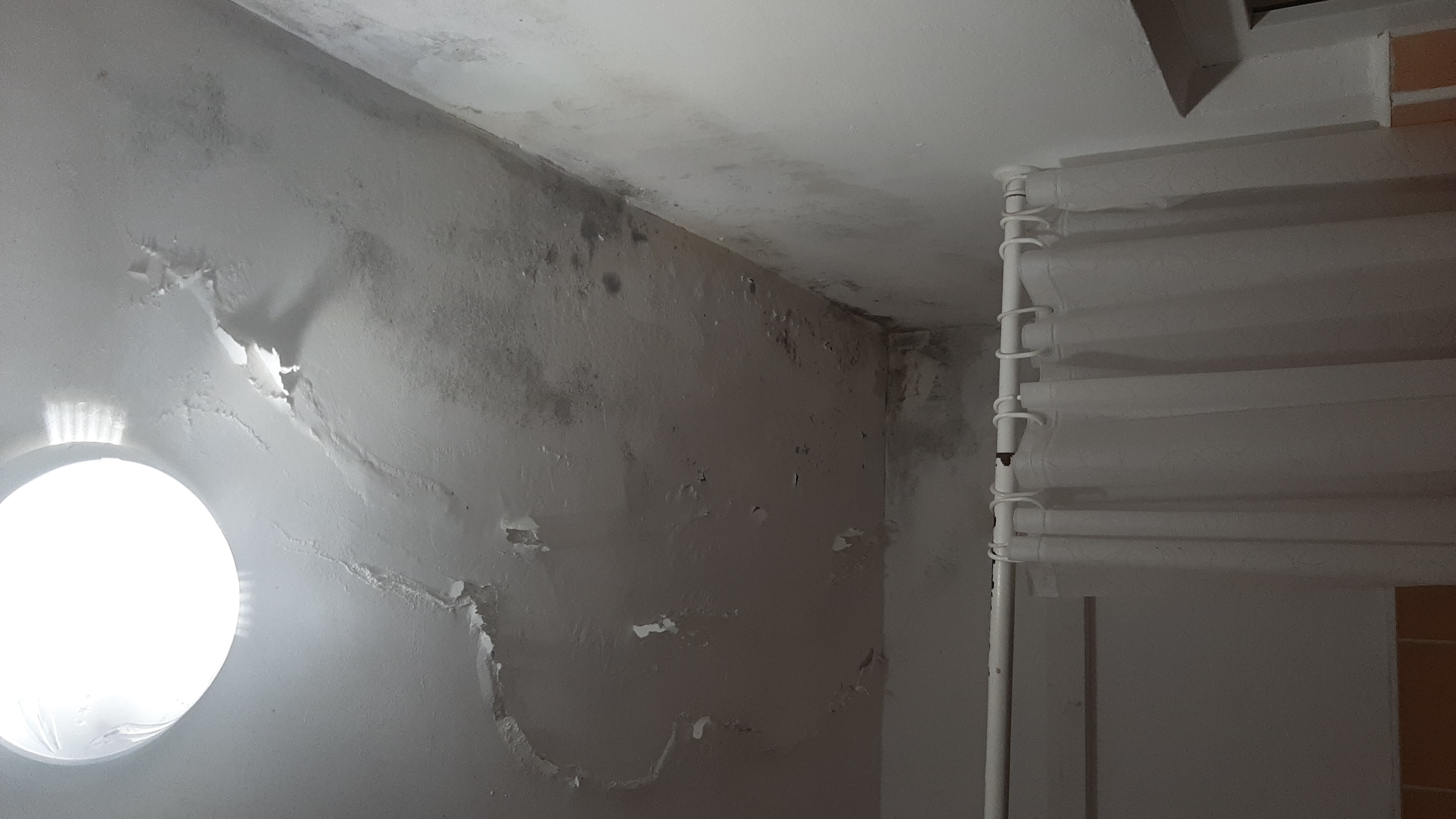 Фото Итальянский Дворик