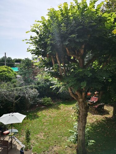 Гостиница Villa le Cloky в Мелёне