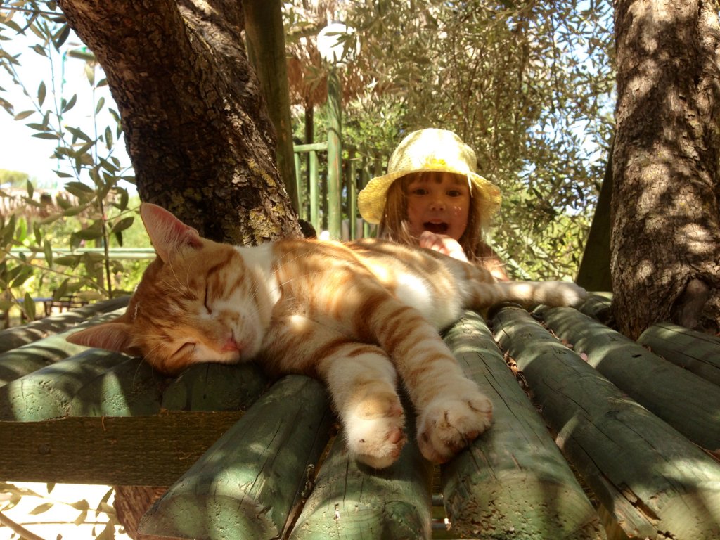 Фото Вилла Alegria