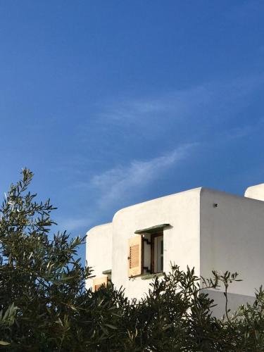 Фото Aeolos Beach Hotel